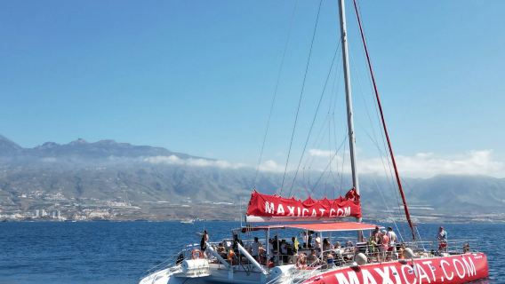 特內裡費島：海豚與鯨魚觀賞雙體船之旅 + 午餐 + 接送服務