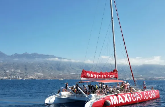 特內里費島：觀賞海豚及鯨魚雙體船之旅 + 午餐 + 接送