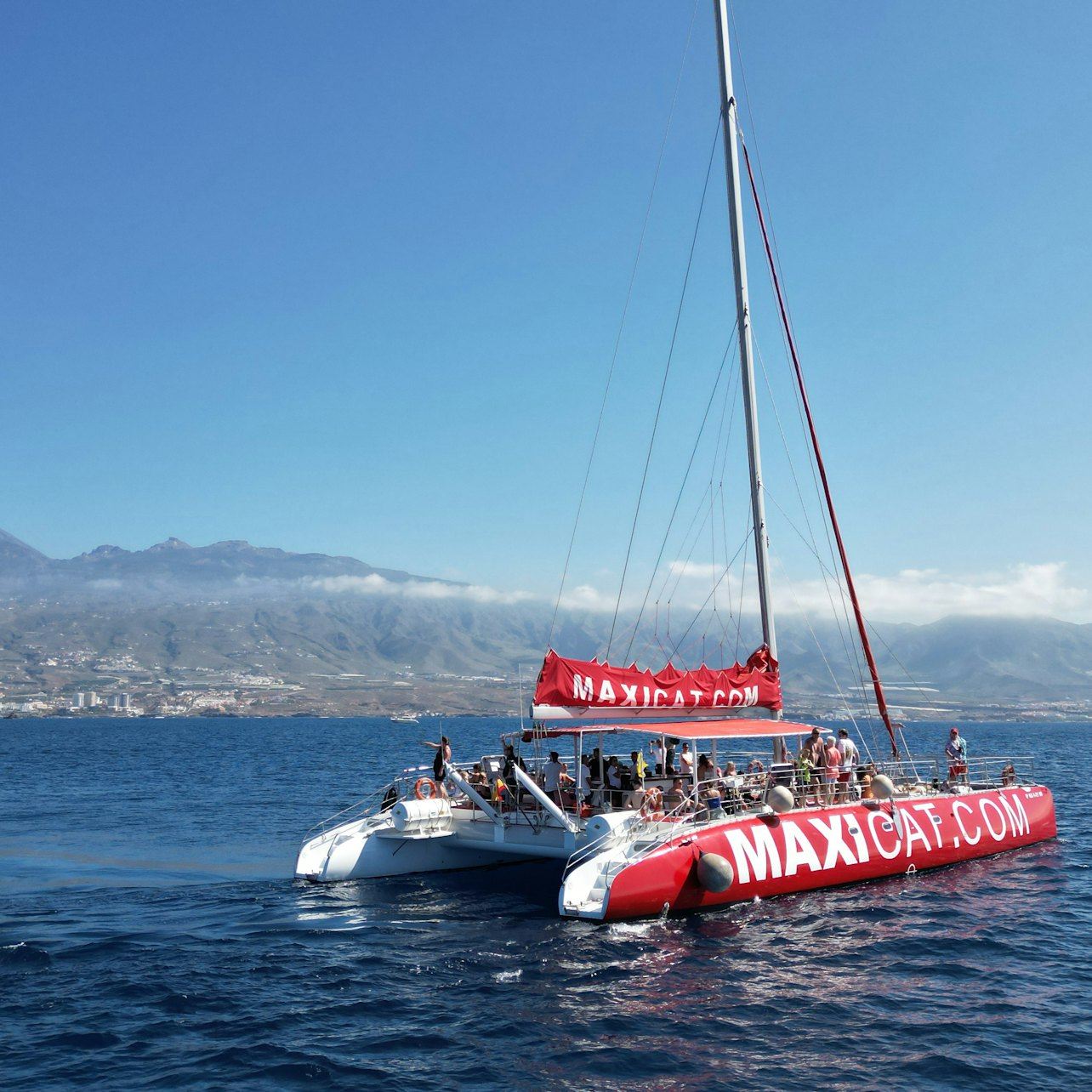 Tenerife: Avistamiento de delfines y ballenas en catamarán + Almuerzo + Traslados