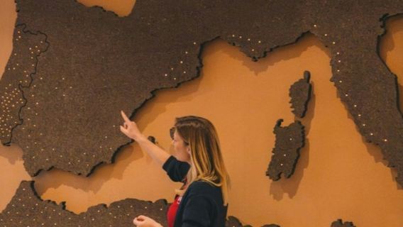 WOW Porto: Eintrittskarte für Planet Cork