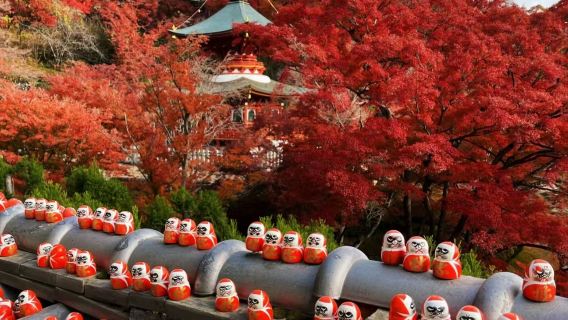 美山町白川鄉+勝尾寺+嵐山竹林小徑+野宮神社一日遊
