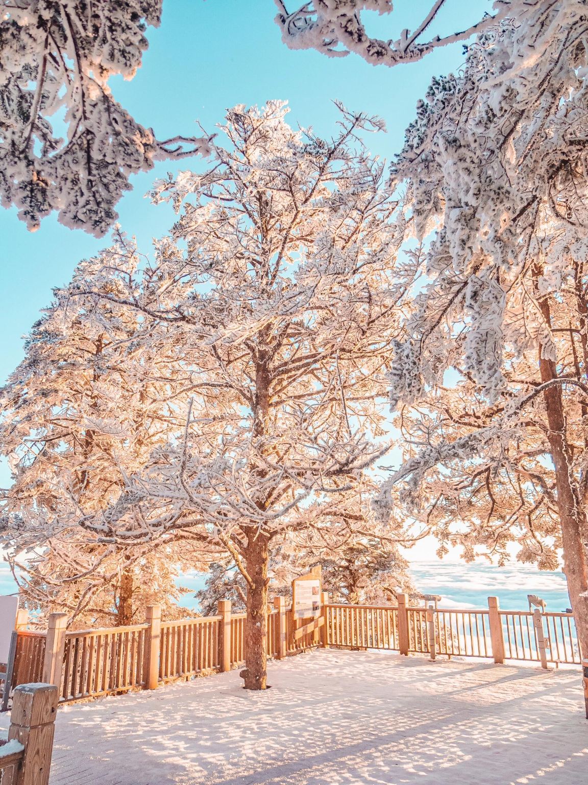 Tour di un giorno a Chengdu con servizio in inglese: Montagna innevata Xiling, Piazza Tianfu e Vicolo Kuanzhai