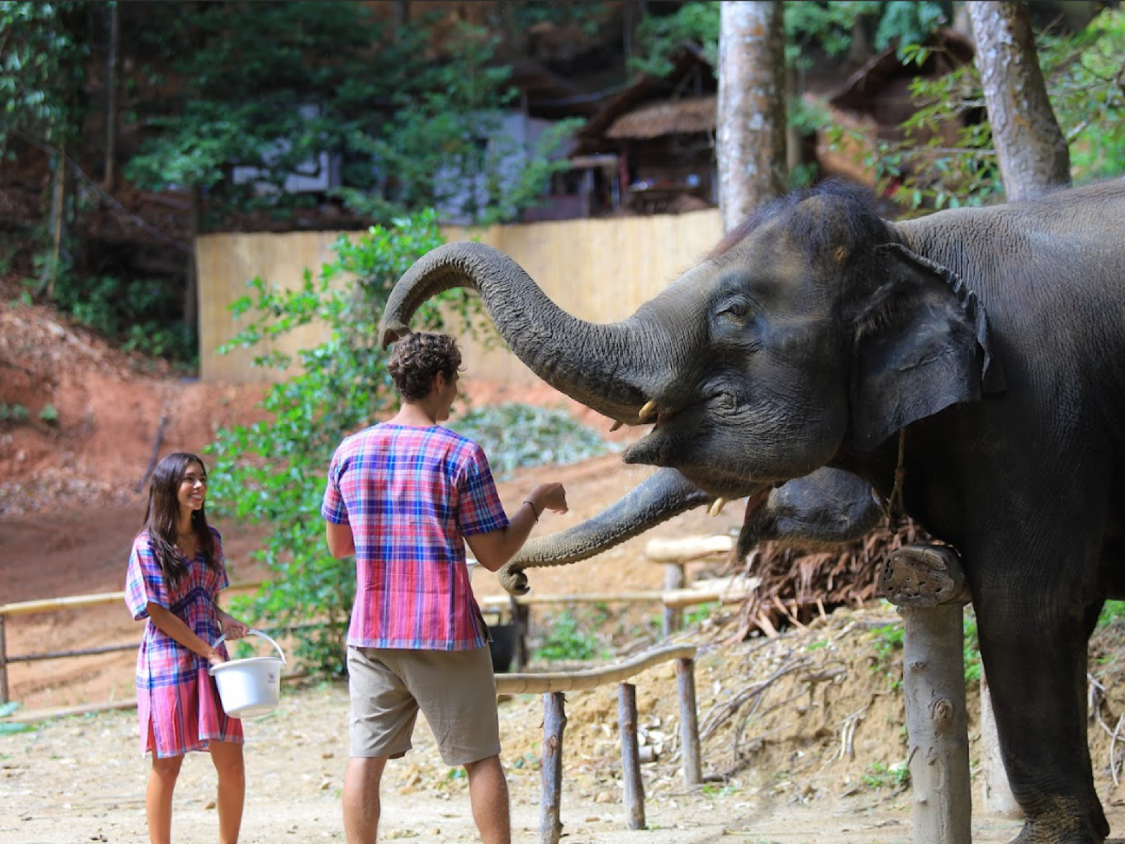 Phuket Patong Umarmung Elefantenschutzcamp für Familien - Option für Vormittags- oder Nachmittagsvorstellung