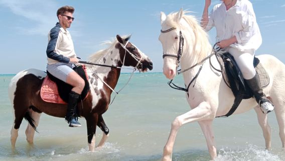 Hurghada: Ørken- og hav-hestetur med valgfri svømning