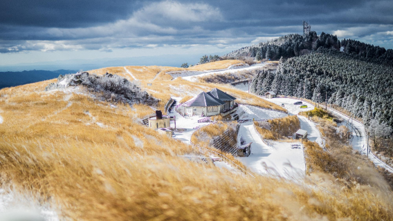 From Osaka: 1-day tour to Banshoen Garden, Oishi Highland, Shiraki Marine Park, and Momijidani Valley