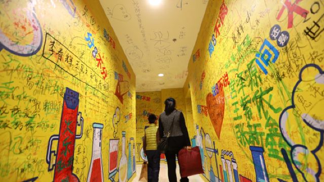 美國邁阿密-大沼澤地公園-享一日自然療癒【中文包車自由行】