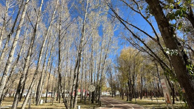 "Melodi Suci Kuil Tashilhunpo: Jalan-jalan Budaya di Jantung Tsang"