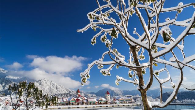 ทัวร์ 1 วันชมหิมะและเล่นสกีที่ภูเขาหิมะซีหลิงเฉิงตู แพ็คเกจเหมารถ VIP (ไม่รวมตั๋วเข้า)