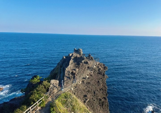 伊豆經典遊 下田公園-弓之濱-下田海中水族館-龍宮窟-石廊崎