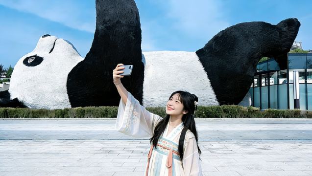 Excursión de un día en grupo pequeño (máx. 8 personas) ◆ Dujiangyan + Valle de los Pandas + Lágrimas Azules ◆ Recogida dentro de la 3ª circunvalación ◆ Incluye entrada