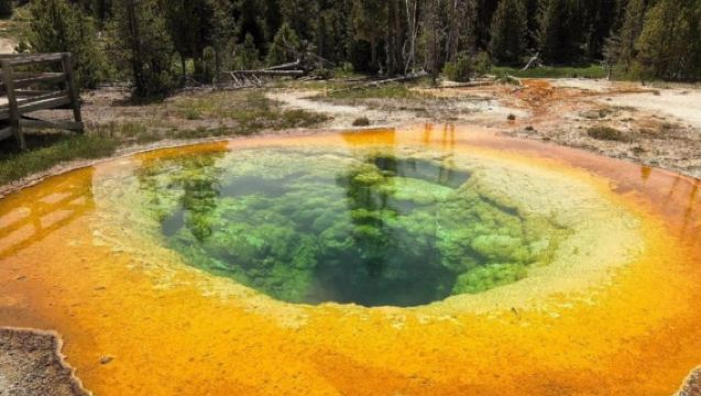 美國+鹽湖城+黃石國家公園一日遊/行程可調-可定制