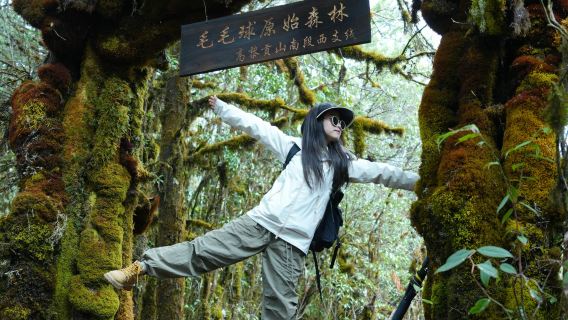 Mendaki 9km di Hutan Pristin Bulu di Cabang Barat Bahagian Selatan Gunung Gaoligong + Dapur Hutan Bulu