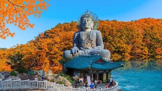 Tur Sehari ke Gunung Seorak dan Kuil Naksansa dari Seoul