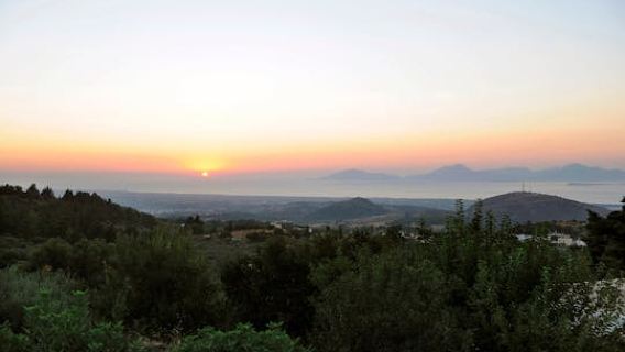 Zia by Night
