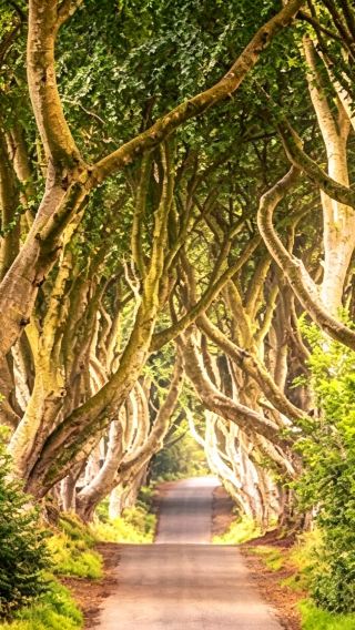 1-day tour to Giant's Causeway + Titanic Museum [English group]