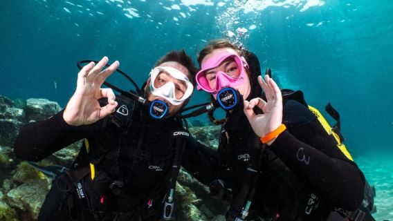 ランサローテ島：初心者向けプライベートダイビング（写真・動画無料付き）