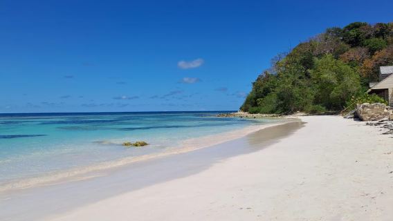 Stingray City & Tour in the East Coast of Antigua with Lunch