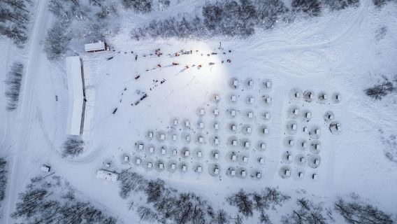 From Tromsø: Dog Sledding Adventure in Tamokdalen