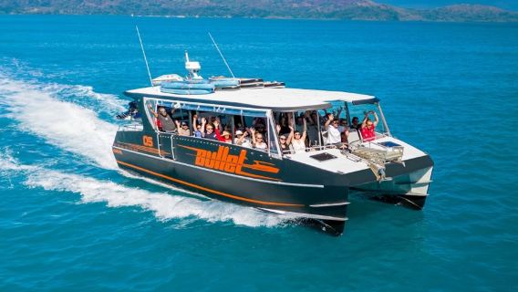 Passeio de um dia no barco Bullet para Whitehaven Beach e Hill Inlet nas Ilhas Whitsunday [inclui almoço]