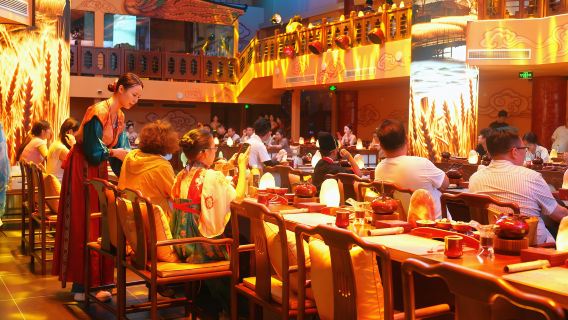 Gran Festejo Tianxia Zhengzhou | Experiencia Cultural del Banquete Milenario Chino