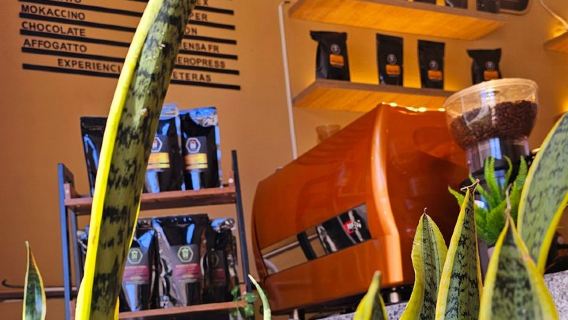 Kaffeeverkostung in Bogotá: 4 Kaffees und 4 Methoden