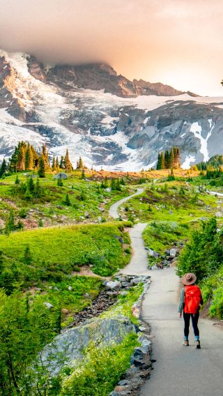 Seattle Mount Rainier National Park Day Trip | Bus group tour and small group tours available