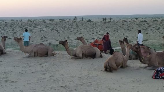 JaisalmerTours