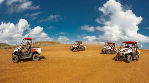 Aruba Off Road UTV Island Tour: Rugged Coastline & Culture