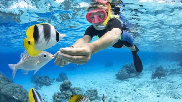 Lawatan sehari ke Ko Lan, Pattaya, Thailand / Snorkeling, menyelam skuba, parasailing, motoski dengan pemandu pelancong berbahasa Cina
