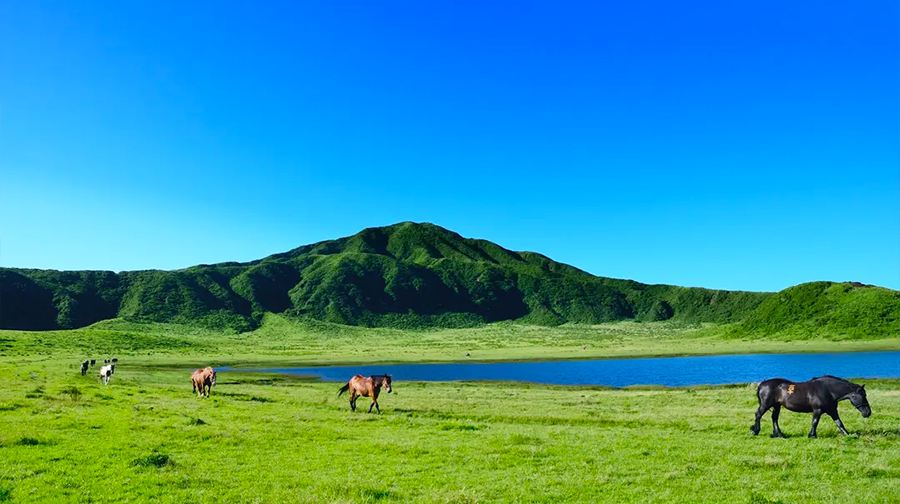 福岡草千里（草千里之濱）+阿蘇中嶽火山口一日遊