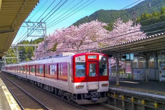 【近鐵周遊券1/2/5日】大阪奈良京都名古屋電車巴士+景點優惠KINTETSU RAIL PASS 1日2日5日PLUS