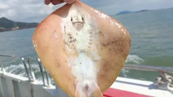浙江寧波象山出海觀光捕魚/漁民體驗/撒網捕魚【包船出海/多時段可選/家庭出遊/聚會團建】