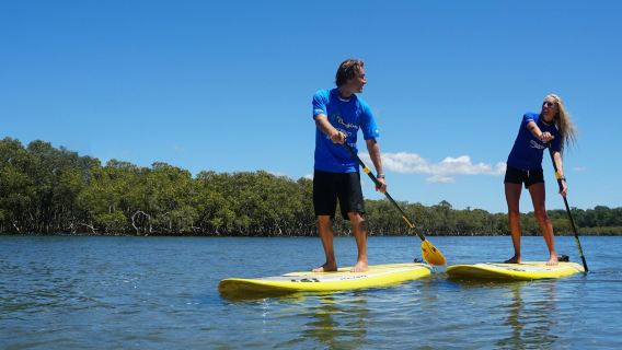 Byron Bay: 2,5-stündige Gruppen-Stand-Up-Paddleboard-Tour