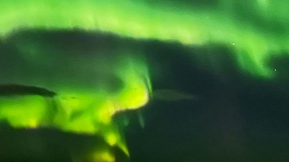 Auroras boreales: recorrido en barco de 2 horas + recorrido alternativo en autobús