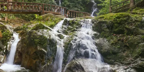 丹普樂公園:吉隆坡出發半日遊