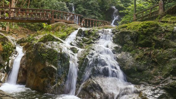 Templer Park: Half-Day Tour from Kuala Lumpur