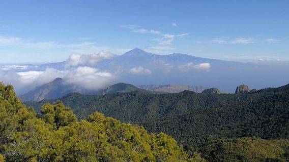 La Gomera Day Trip From Tenerife