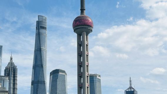 однодневный тур в Шанхайский зоопарк + Астрономический музей + Телебашня Восточная Жемчужина с возможностью обслуживания на английском языке