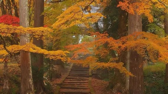 京都日遊