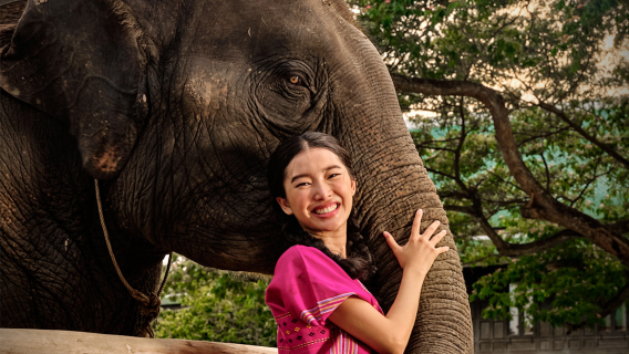 BangkokTours de un día