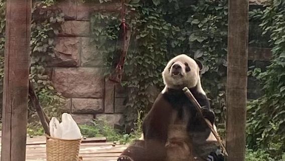 BeijingTours