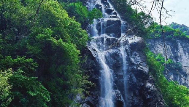 太白山國家森林公園一日遊【很重要！下單前請務必諮詢是否有位】