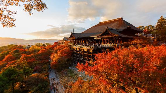 京都日遊