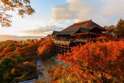 京都賞櫻:清水寺+二三年坂+伏見稻荷大社+金閣寺+嵐山火車