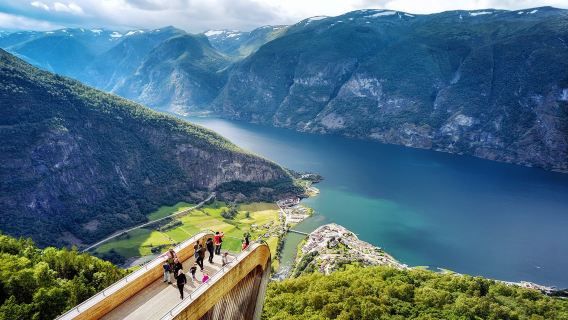Bergen: Voss + Sognefjord + Observation Deck + Flåm + Lunch