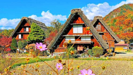 Patrimonio mondiale dell'UNESCO Villaggi storici di Shirakawa-go e Gokayama: tour di un giorno a Nagoya e Hida Takayama, ammirando le foglie d'acero
