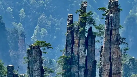 張家界國家森林公園-寶峰湖-千古情日遊