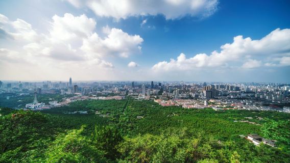 Weifang, Shandong|Professional Translation & Licensed Guides in Chinese/English/Japanese/Korean/German & More - Business Trips/Inspections/Attractions & Tours/Hiking/City Walk