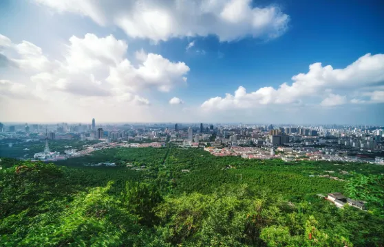 山東濰坊|中/英/日/韓/德語等小語種-專業翻譯•持證導遊•本地地陪-商務出行/考察/景點玩樂/徒步/city walk