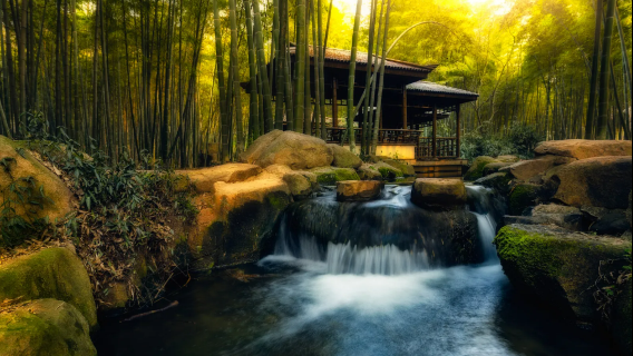 Shangfang Forest Zoo + Hanshan-Tempel + Lion Grove Garden [Suzhou Familien-Tagesausflug]